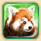 Panda roux dans le jeu MonZoo